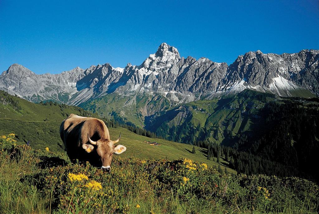 Ferienwohnung Brugger Sankt Gallenkirch Buitenkant foto